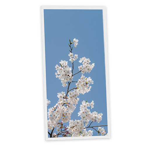 Pack 1 Dalle LED Imprimée verticale - Kyoto - 1200x600mm - Usinée en France by DELITECH