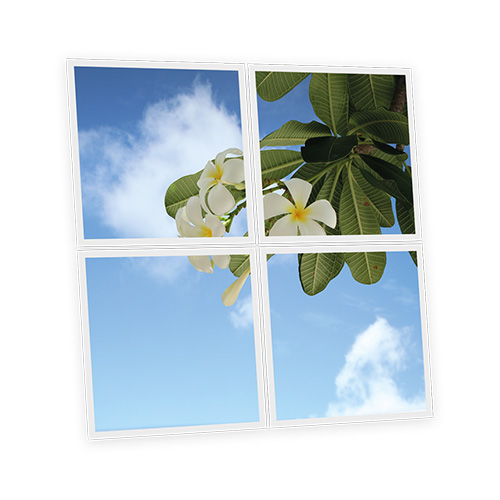 Pack 4 Dalles LED Imprimées - Tahiti - 600x600mm - Usinée en France by DELITECH