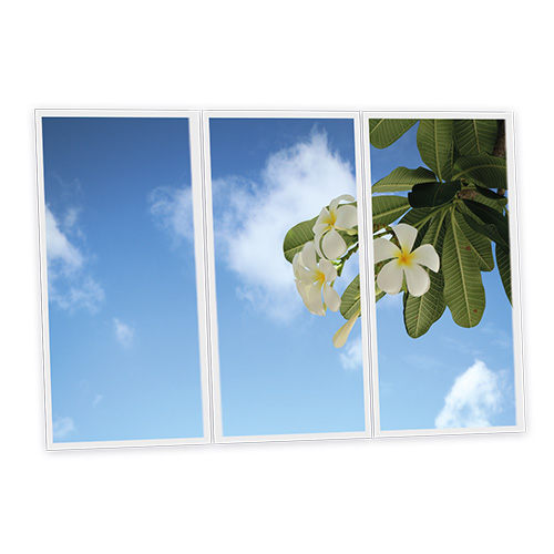 Pack 3 Dalles LED Imprimées - Tahiti - 1200x600mm - Usinée en France by DELITECH