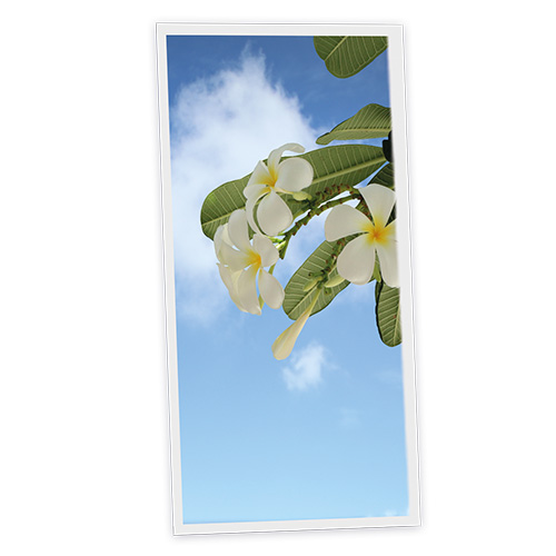 Pack 1 Dalle LED Imprimée verticale - Tahiti - 1200x600mm - Usinée en France by DELITECH