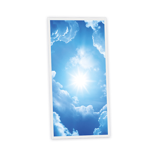 Pack 1 Dalle LED Imprimée verticale - Heaven - 1200x600mm - Usinée en France by DELITECH