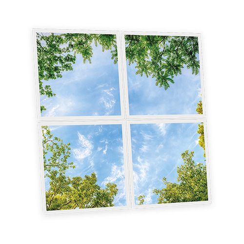 [DT1-CEN-6060-X4] Pack 4 Dalles LED Imprimées - Central Park - 600x600mm - Usinée en France by DELITECH