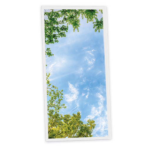 Pack 1 Dalle LED Imprimée verticale - Central Park - 1200x600mm - Usinée en France by DELITECH