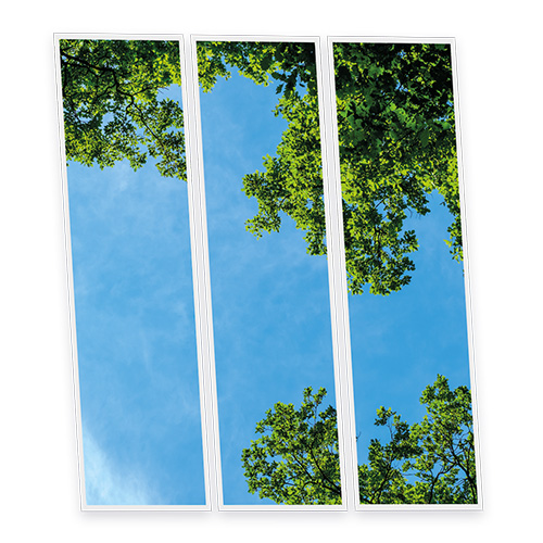 Pack 3 Dalles LED Imprimées - Fresh Garden - 1200x300mm - Usinée en France by DELITECH