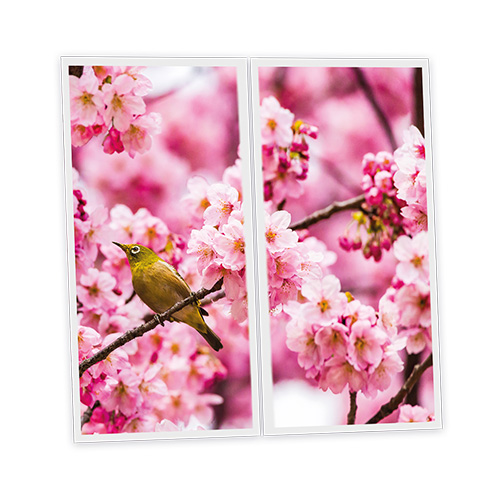 Pack 2 Dalles LED Imprimées - Romance - 1200x600mm - Usinée en France by DELITECH