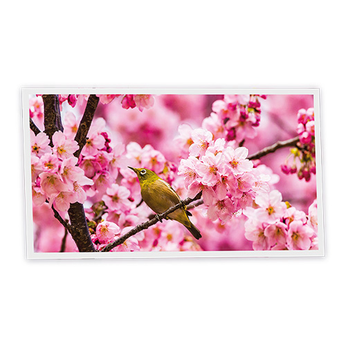Pack 1 Dalle LED Imprimée horizontale - Romance - 1200x600mm - Usinée en France by DELITECH