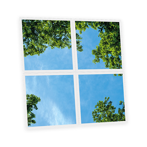 Pack 4 Dalles LED Imprimées - Fresh Garden - 600x600mm - Usinée en France by DELITECH