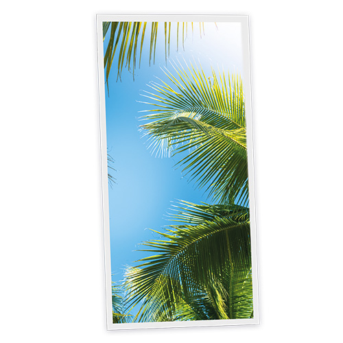 Pack 1 Dalle LED Imprimée verticale - Los Angeles - 1200x600mm - Usinée en France by DELITECH