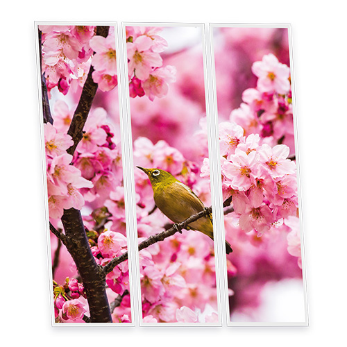 Pack 3 Dalles LED Imprimées - Romance - 1200x300mm - Usinée en France by DELITECH