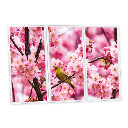 Pack 3 Dalles LED Imprimées - Romance - 1200x600mm - Usinée en France by DELITECH