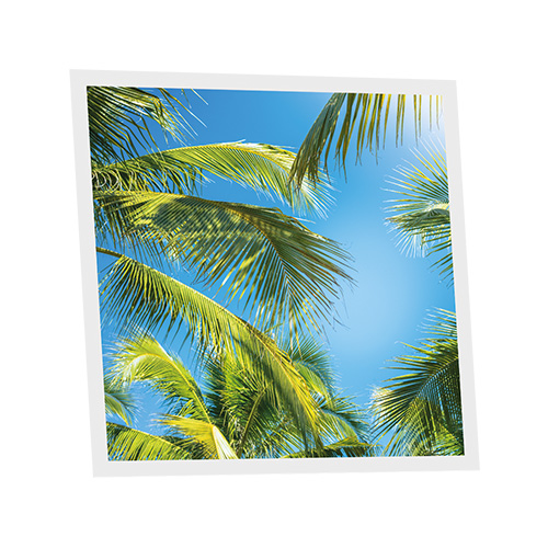 Pack 1 Dalle LED Imprimée - Los Angeles - 600x600mm - Usinée en France by DELITECH