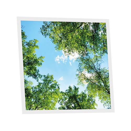 Pack 1 Dalle LED Imprimée - Garrigue - 600x600mm - Usinée en France by DELITECH