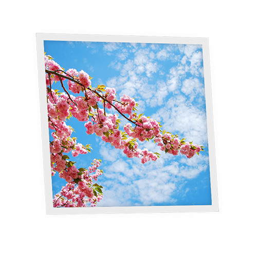 Pack 1 Dalle LED Imprimée - Osaka - 600x600mm - Usinée en France by DELITECH