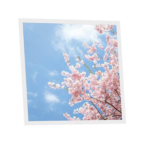Pack 1 Dalle LED Imprimée - Tokyo - 600x600mm - Usinée en France by DELITECH