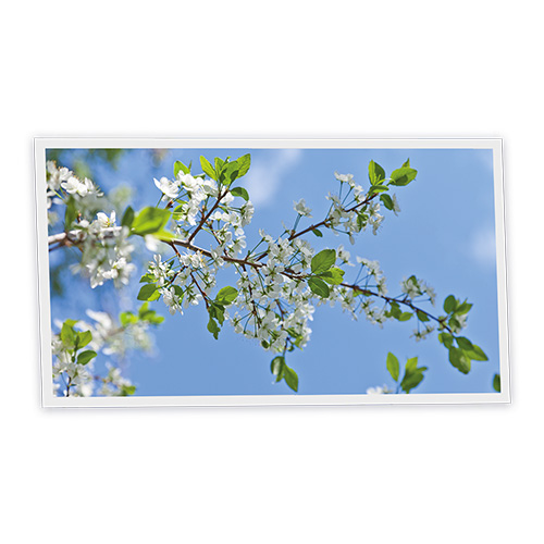 Pack 1 Dalle LED Imprimée horizontale - Nara - 1200x600mm - Usinée en France by DELITECH