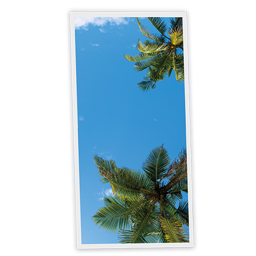 Pack 1 Dalle LED Imprimée verticale - California - 1200x600mm - Usinée en France by DELITECH