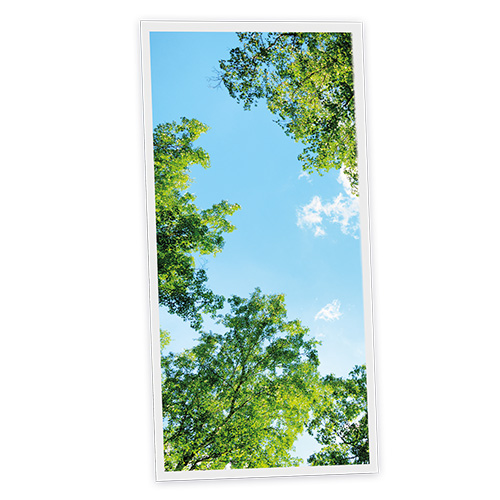 Pack 1 Dalle LED Imprimée verticale - Garrigue - 1200x600mm - Usinée en France by DELITECH