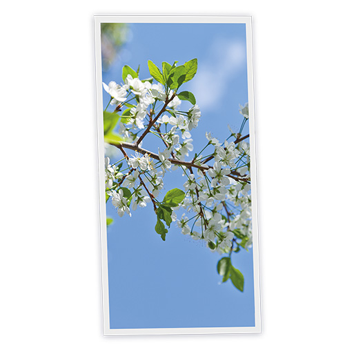 Pack 1 Dalle LED Imprimée verticale - Nara - 1200x600mm - Usinée en France by DELITECH