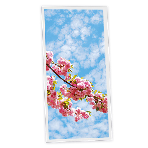 Pack 1 Dalle LED Imprimée verticale - Osaka - 1200x600mm - Usinée en France by DELITECH