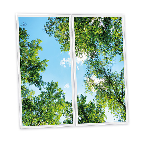 Pack 2 Dalles LED Imprimées - Garrigue - 1200x600mm - Usinée en France by DELITECH