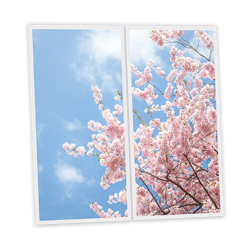 Pack 2 Dalles LED Imprimées - Tokyo - 1200x600mm - Usinée en France by DELITECH