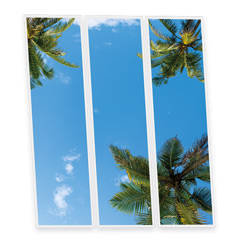 Pack 3 Dalles LED Imprimées - California - 1200x300mm - Usinée en France by DELITECH