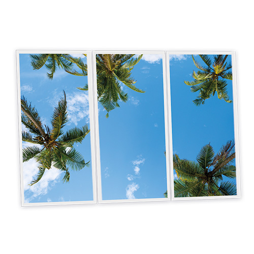 Pack 3 Dalles LED Imprimées - California - 1200x600mm - Usinée en France by DELITECH