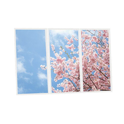 Pack 3 Dalles LED Imprimées - Tokyo - 1200x600mm - Usinée en France by DELITECH