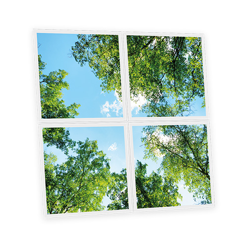 Pack 4 Dalles LED Imprimées - Garrigue - 600x600mm - Usinée en France by DELITECH