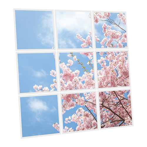 Pack 9 Dalles LED Imprimées - Tokyo - 600x600mm - Usinée en France by DELITECH