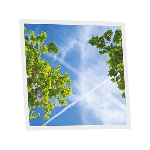 Pack 1 Dalle LED Imprimée - Branch - 600x600mm - Usinée en France by DELITECH