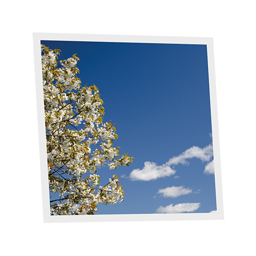 Pack 1 Dalle LED Imprimée - Sofia - 600x600mm - Usinée en France by DELITECH