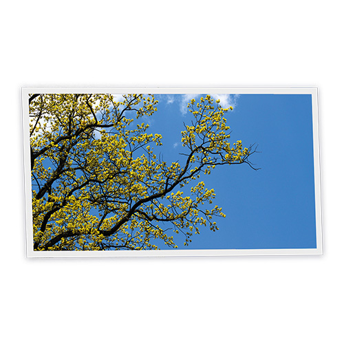 Pack 1 Dalle LED Imprimée horizontale - Japan - 1200x600mm - Usinée en France by DELITECH