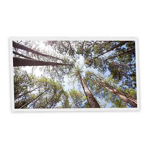 Pack 1 Dalle LED Imprimée horizontale - Pine - 1200x600mm - Usinée en France by DELITECH
