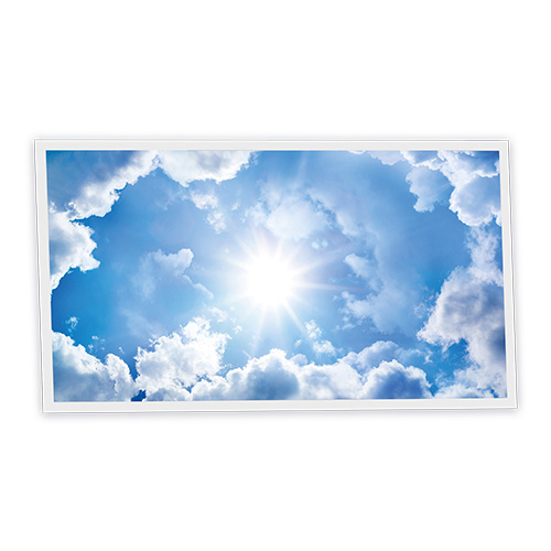 Pack 1 Dalle LED Imprimée horizontale - Sunny - 1200x600mm - Usinée en France by DELITECH