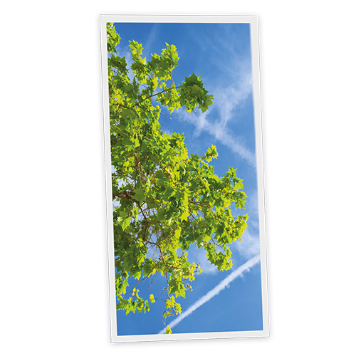 Pack 1 Dalle LED Imprimée verticale - Branch - 1200x600mm - Usinée en France by DELITECH