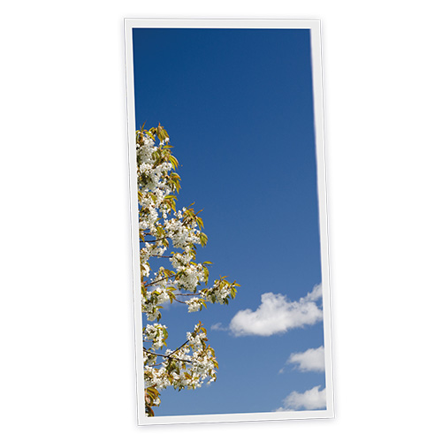 Pack 1 Dalle LED Imprimée verticale - Sofia - 1200x600mm - Usinée en France by DELITECH