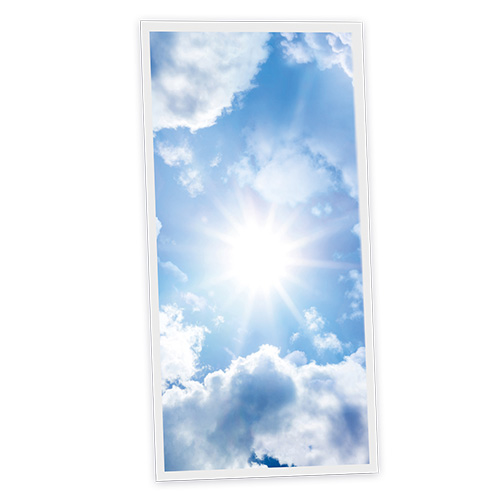 Pack 1 Dalle LED Imprimée verticale - Sunny - 1200x600mm - Usinée en France by DELITECH