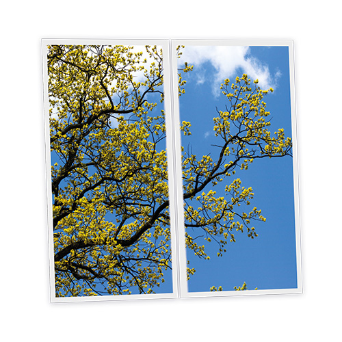 Pack 2 Dalles LED Imprimées - Japan - 1200x600mm - Usinée en France by DELITECH