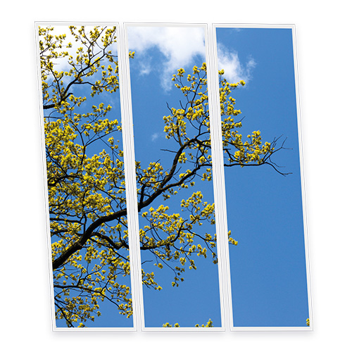 Pack 3 Dalles LED Imprimées - Japon - 1200x300mm - Usinée en France by DELITECH