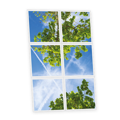 Pack 6 Dalles LED Imprimées - Branch - 600x600mm - Usinée en France by DELITECH