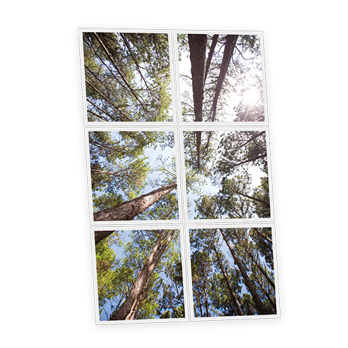 Pack 6 Dalles LED Imprimées - Pine - 600x600mm - Usinée en France by DELITECH