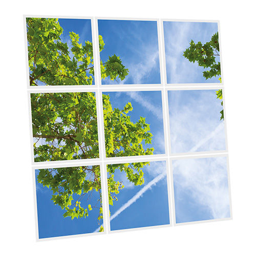 Pack 9 Dalles LED Imprimées - Branch - 600x600mm - Usinée en France by DELITECH