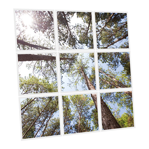 Pack 9 Dalles LED Imprimées - Pine - 600x600mm - Usinée en France by DELITECH