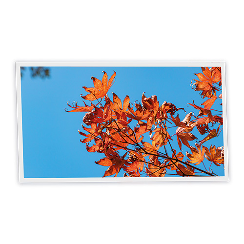 Pack 1 Dalle LED Imprimée horizontale - Autumn - 1200x600mm - Usinée en France by DELITECH