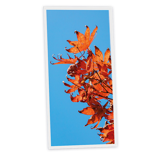 Pack 1 Dalle LED Imprimée verticale - Autumn - 1200x600mm - Usinée en France by DELITECH