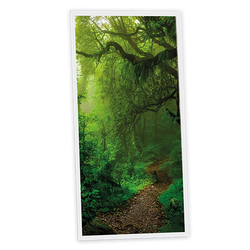 Pack 1 Dalle LED Imprimée verticale - Forest - 1200x600mm - Usinée en France by DELITECH