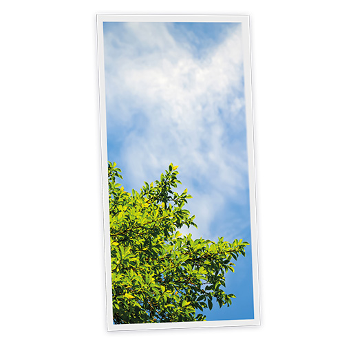 Pack 1 Dalle LED Imprimée verticale - Tree - 1200x600mm - Usinée en France by DELITECH