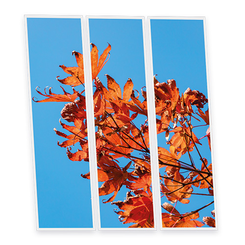 Pack 3 Dalles LED Imprimées - Autumn - 1200x300mm - Usinée en France by DELITECH