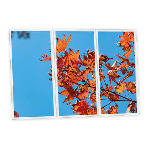 Pack 3 Dalles LED Imprimées - Autumn - 1200x600mm - Usinée en France by DELITECH